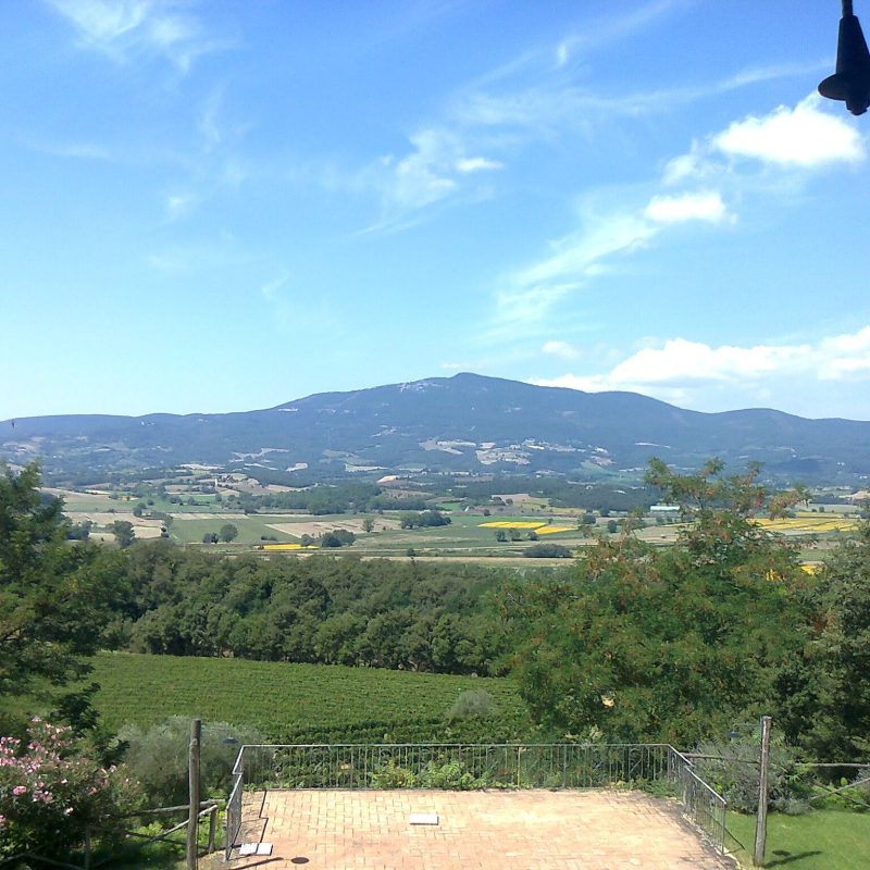 Casale_Palazzolo_Esterno_Terrazza_Vigne_1